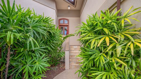 The image shows a pathway flanked by lush green plants, leading up a few stairs to a doorway in a modern setting.