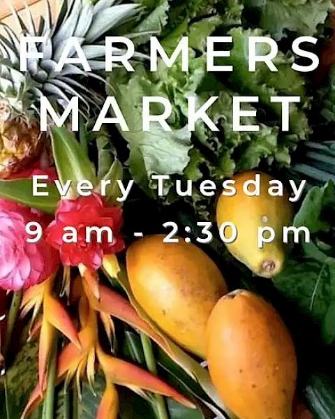 Image of a Farmers Market poster with tropical fruits and vegetables, details about the market every Tuesday from 9 am - 2:30 pm.