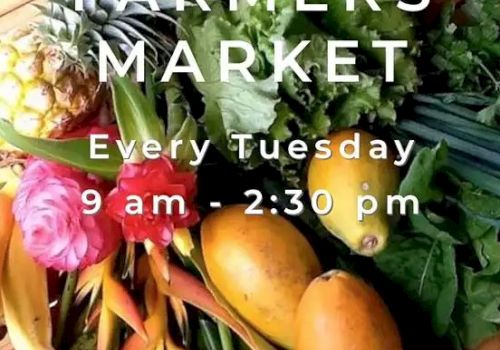Image of a Farmers Market poster with tropical fruits and vegetables, details about the market every Tuesday from 9 am - 2:30 pm.