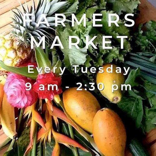 Image of a Farmers Market poster with tropical fruits and vegetables, details about the market every Tuesday from 9 am - 2:30 pm.