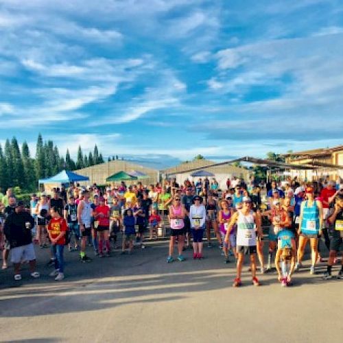 A large group of people, likely participating in a running event, gathers outdoors with a backdrop of trees and clear skies.