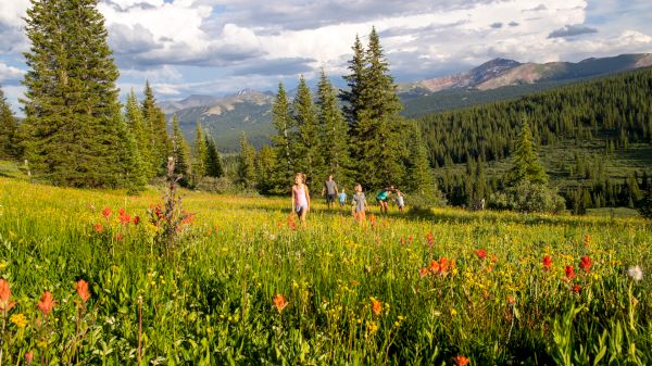 A group of people hiking through a colorful meadow with trees and mountains in the background, under a sky filled with clouds.