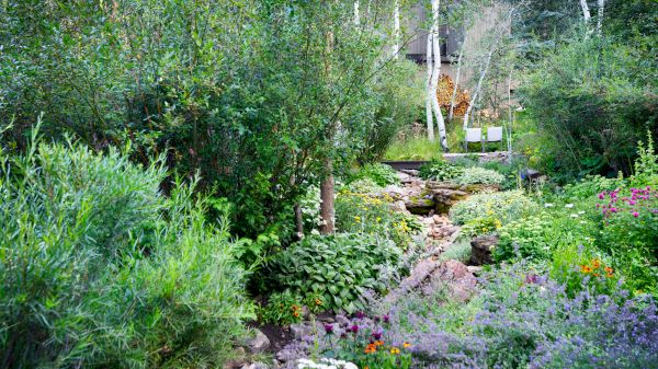 A lush garden with dense greenery, colorful flowers, rocks, and a small pathway leading to a bench in the background.