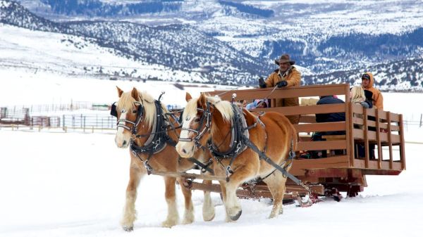 Horses pulling a sleigh with people on snowy terrain, with mountains in the background.