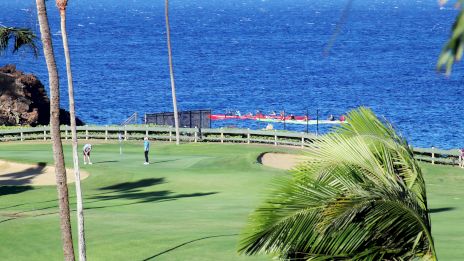 The image features a lush golf course overlooking a blue ocean, with palm trees framing the scene and a boat in the water.