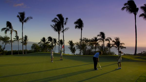 People playing golf on a green, surrounded by palm trees, at sunset with an ocean view in the background.