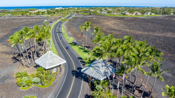 A winding road through a tropical area with tall palm trees, two thatched-roof shelters, and barren volcanic terrain on the sides, near the coast.