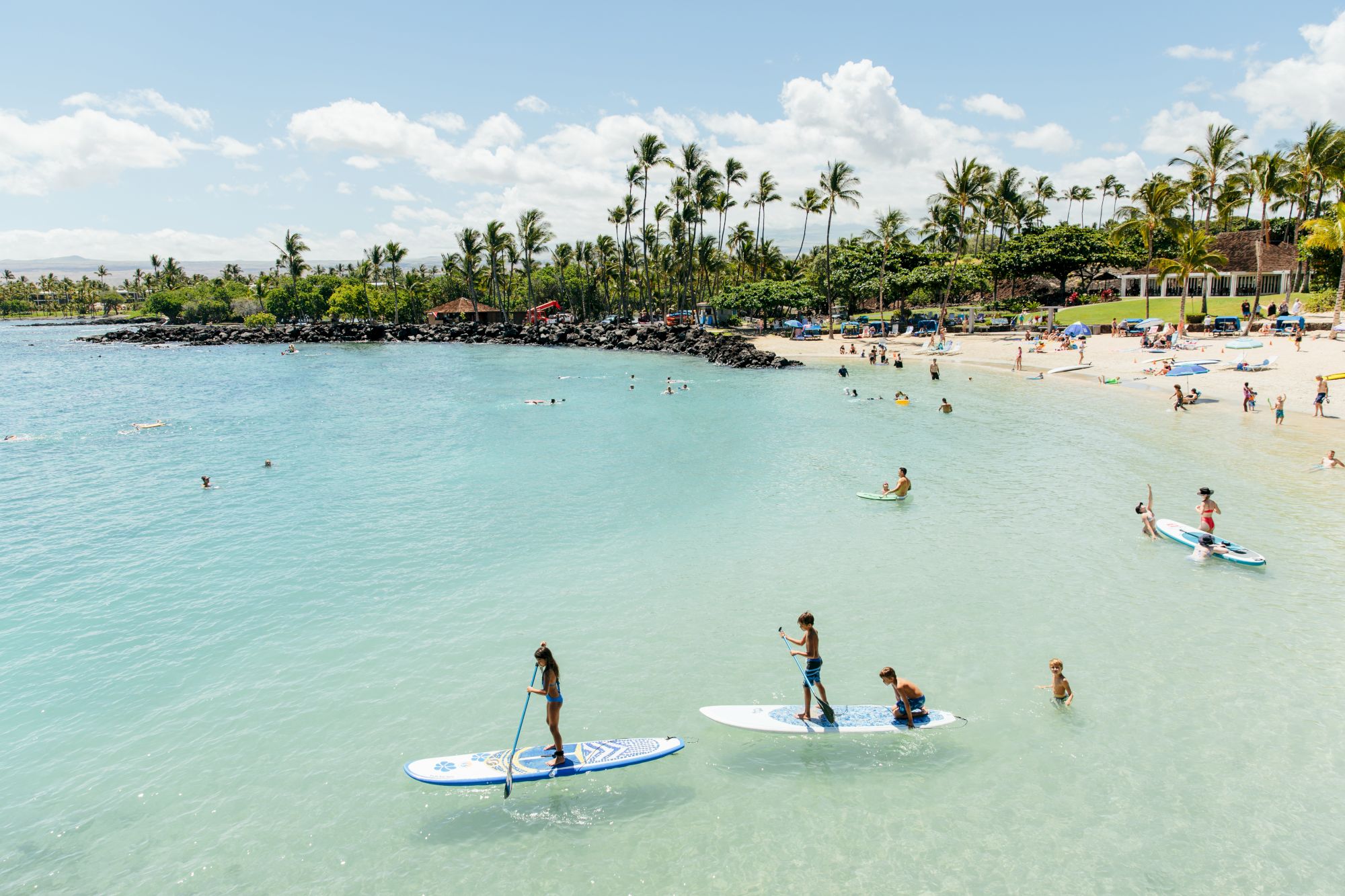 People are paddleboarding and swimming at a tropical beach with clear blue water and palm trees in the background.