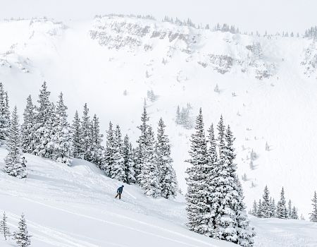 A lone skier cuts diagonally down a snowy mountainside lined with tall pine trees under a pale, overcast sky.