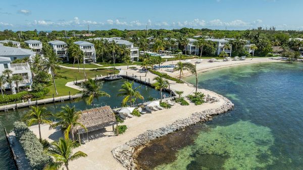 A serene coastal view featuring palm trees, a sandy beach, and modern white buildings near crystal-clear waters. Perfect for relaxation.