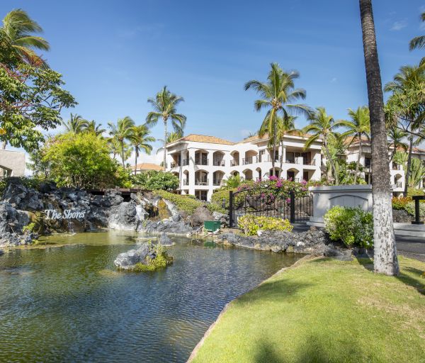 The image features a serene resort area with palm trees, colorful flowers, a pond, and a building named "The Shores."