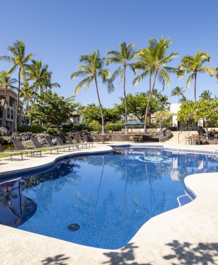 The image shows a tranquil pool area surrounded by palm trees and lounge chairs, with clear blue skies above.
