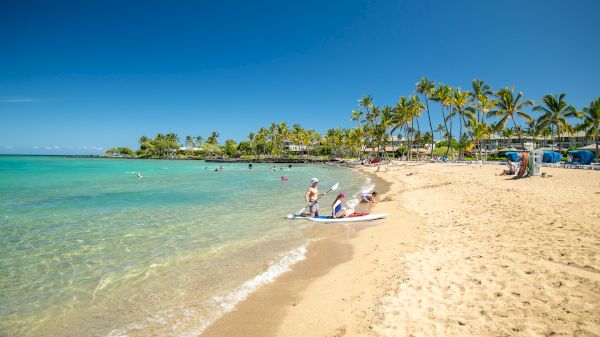 A sunny tropical beach with clear turquoise water, palm trees, and people relaxing near shore; a boat and swimmers enjoy the calm sea.