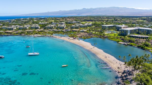 Coraltree Residence Collection