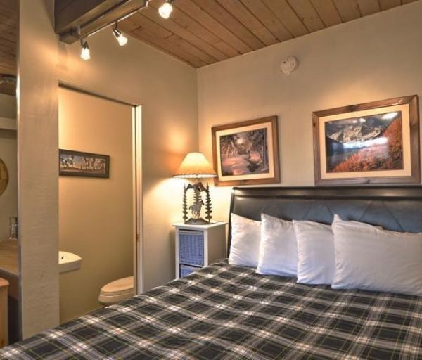 Coraltree Residence Collection