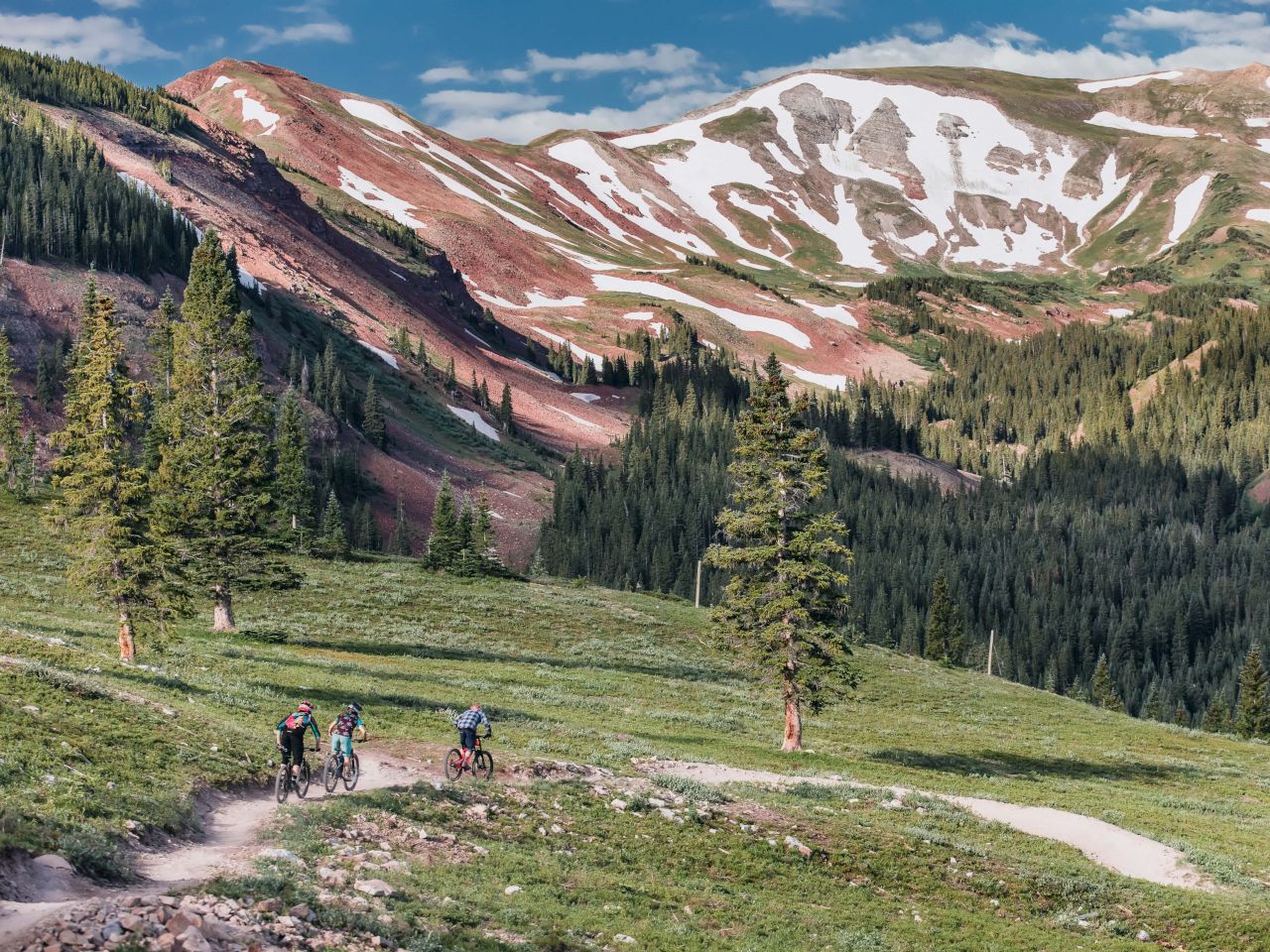 Three mountain bikers ride through a vibrant green landscape with scattered trees and snow-capped peaks in the background.
