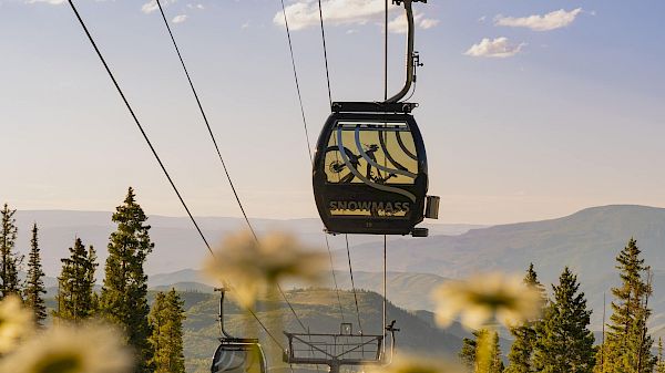 The image shows a scenic view of a gondola lift among lush greenery and wildflowers under a clear sky. It captures nature's beauty.