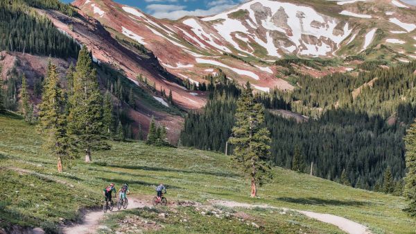 Coraltree Residence Collection