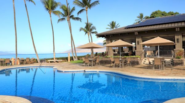 A sunny resort pool scene with clear blue water, palm trees, lounge chairs, umbrellas, and a seaside bar/restaurant area in the background.