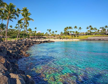 A sunny tropical beach with clear turquoise water, a rocky shoreline, and palm trees lining the coast, all under a bright blue sky.