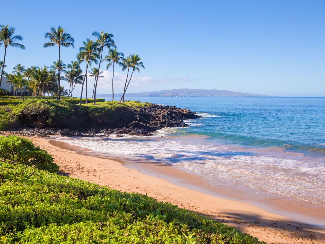 A serene beach scene with palm trees, gentle waves, and clear blue water under a bright sky, perfect for relaxation and enjoyment.