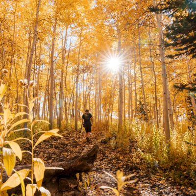 A person walks along a trail surrounded by vibrant yellow aspen trees, with sunlight filtering through the leaves.