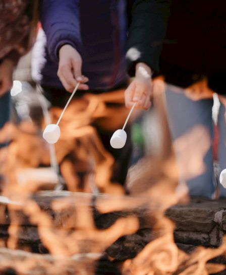 People are roasting marshmallows over a fire, enjoying a camping or outdoor gathering with friends.