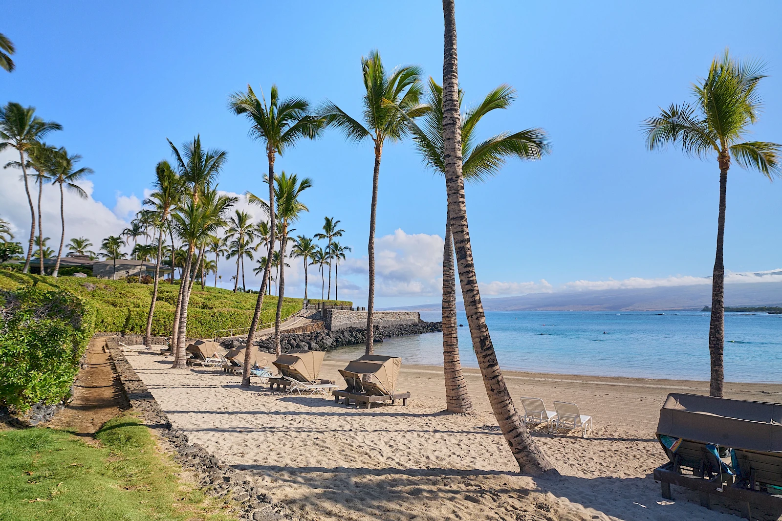 A sunny beach with palm trees, lounge chairs, and calm blue water along a sandy shore, perfect for relaxation.