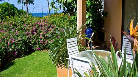 A sunny tropical patio with white chairs, lush green plants, and a view of the ocean beyond a hedge and palm trees.