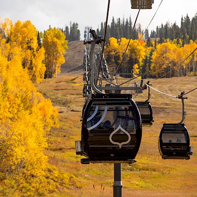 The image shows a cable car moving through a landscape with vibrant yellow trees and gentle hills in the background.