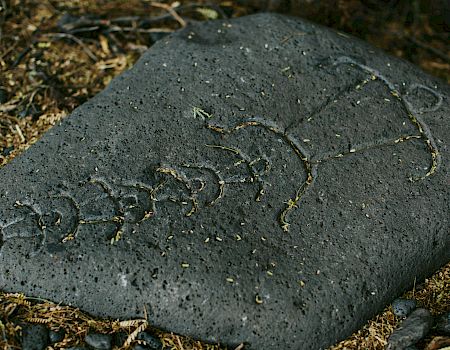 A weathered stone tablet with a curved, faded engraved design or script, partly covered in dirt and pine needles, outdoors.