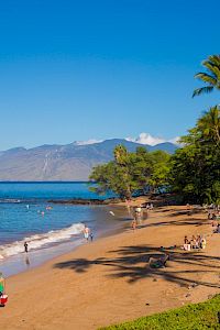 A sunny tropical beach with golden sand, calm blue ocean, palm trees, and people strolling, swimming, and relaxing under clear skies.