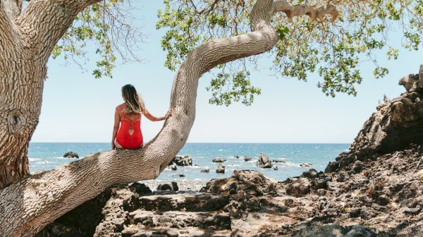 A woman in a red swimsuit sits on a curved tree branch by rocky coaststeps leading to a blue sea, with clear skies and rugged shoreline.
