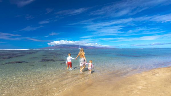 A family of three walking hand-in-hand along a sandy beach into clear, shallow turquoise water under a bright blue sky, with calm waves.