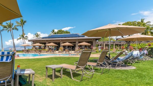 A sunny resort poolside with lounge chairs, umbrellas, palm trees, and a building in the background under a clear blue sky.