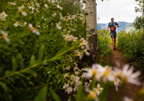 A person running on a dirt trail through a flowering garden, with white daisies in the foreground and mountains in the background.