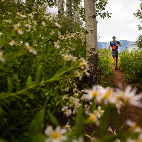 A person running on a dirt trail through a flowering garden, with white daisies in the foreground and mountains in the background.