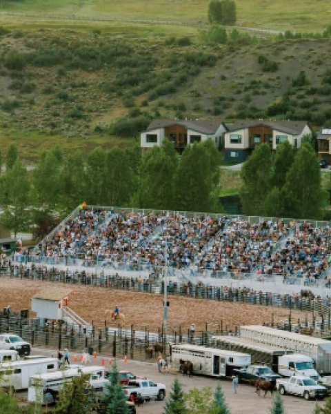 A hillside arena with bleachers full of spectators, a dirt ring in front, several vehicles parked around, and green trees in the background.