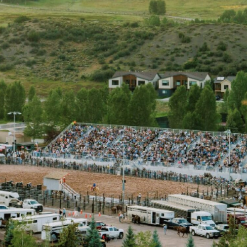 A hillside arena with bleachers full of spectators, a dirt ring in front, several vehicles parked around, and green trees in the background.