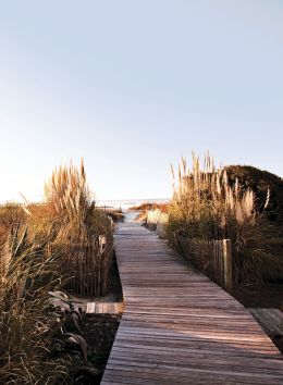 A wooden boardwalk stretches through tall grasses toward a clear blue sky, creating a tranquil pathway to the beach.