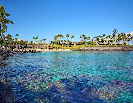 A tropical coastal scene with clear turquoise water, rocky shoreline, and a row of tall palm trees under a bright blue sky, a seaside paradise.