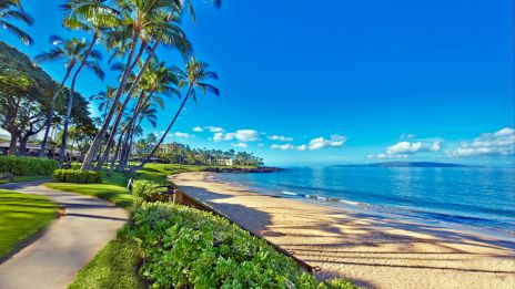 A sunny tropical beach with palm trees, a paved path, green lawns, and calm blue ocean under a bright sky, perfect for a relaxed stroll.