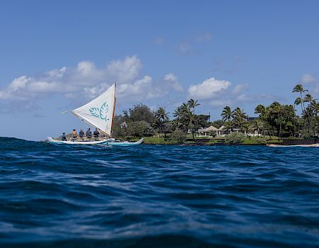 A small sailboat glides near a tropical shoreline with palm trees, calm blue seas, and a clear sky in the background, island vibes.