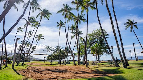 Tall palm trees lean over a sunny grassy park by the ocean; a dirt path winds through, with blue skies and a calm sea in the background.