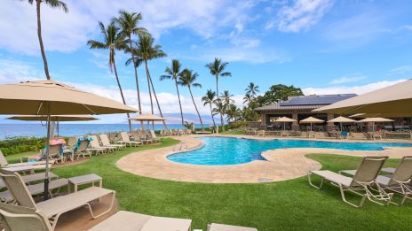 A tropical resort pool on the coast with palm trees, sun loungers, umbrellas, and a tea-blue ocean backdrop, inviting guests to relax.