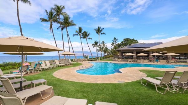 A tropical resort pool on the coast with palm trees, sun loungers, umbrellas, and a tea-blue ocean backdrop, inviting guests to relax.