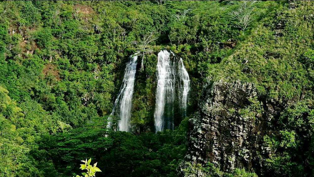 A lush green forest surrounds a tall, slender waterfall cascading down rocky cliffs, creating a misty, tranquil natural scene.