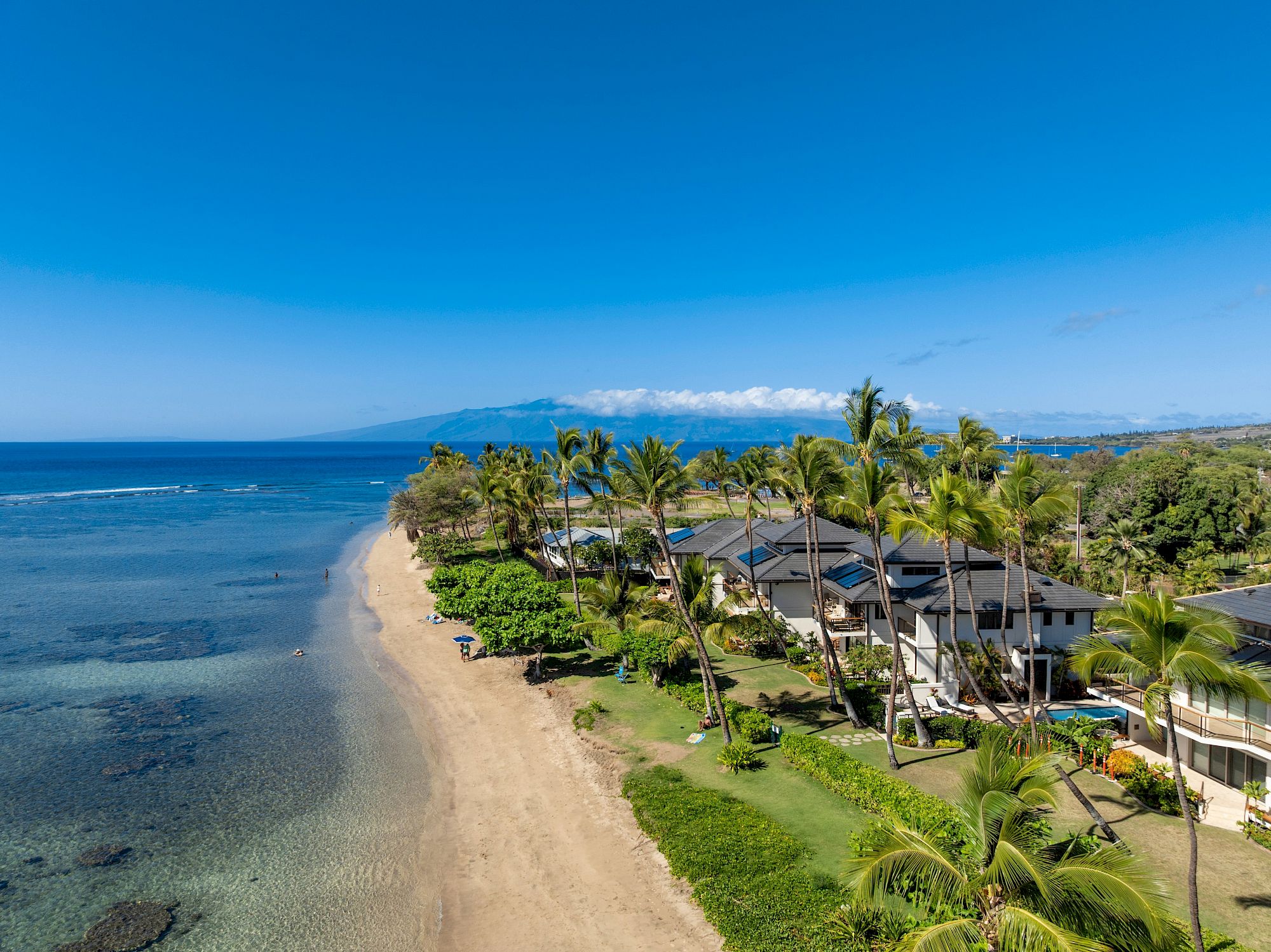 A tropical beach with golden sand, palm trees lining a row of cottages, calm turquoise water, and a clear blue sky over a tranquil coastline.