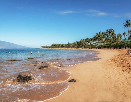 A sunny tropical beach with golden sand, gentle waves, palm trees lining the shore, and a few people enjoying the water and coastline.