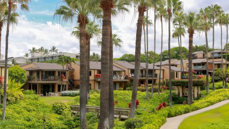 A sunny resort with tall palm trees, well-kept lawns, colorful bushes, and low-rise buildings along a winding path.